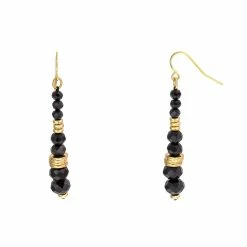 Brand new 😍 Ashley-Cooper Ashley Cooper™ Gold-Tone Linear Jet Beaded Fish Hook Earrings 🤩